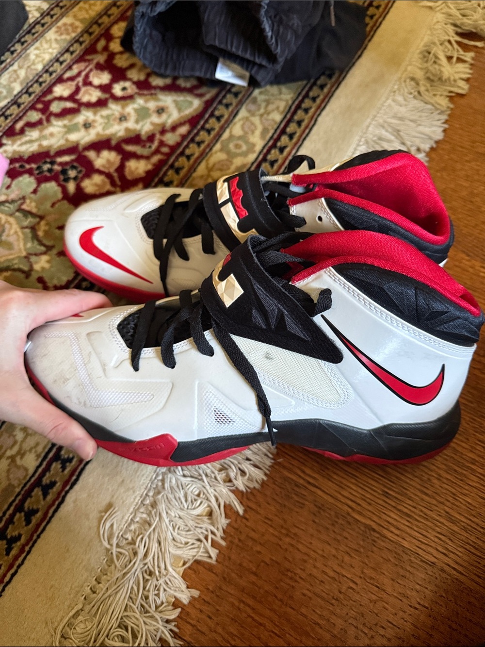 Men’s nike LeBron James sneakers